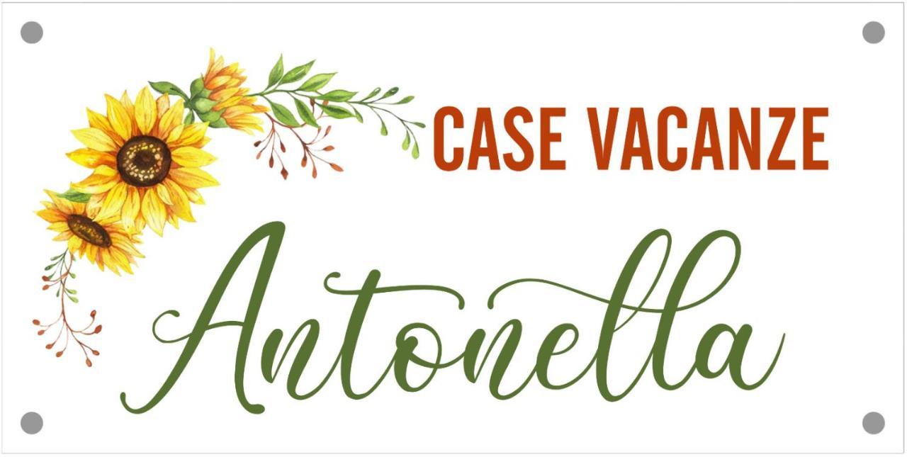 Case Vacanze Con Vista Panoramica Da Antonella Vieste Exteriér fotografie